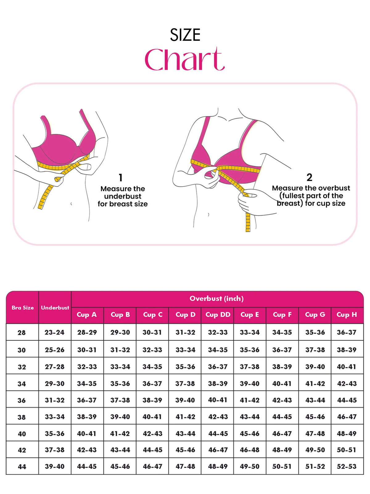 Breast Cups